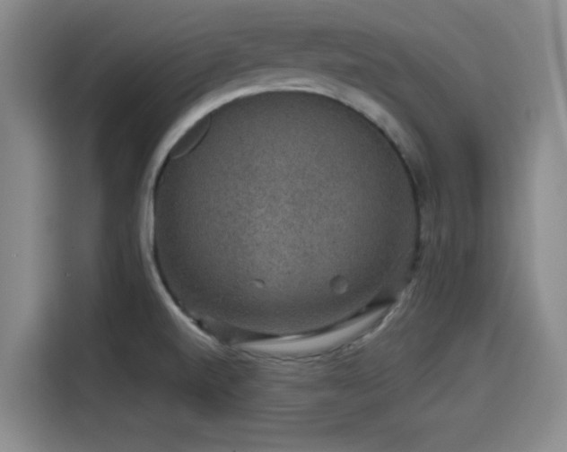 X0000114211520200910161237