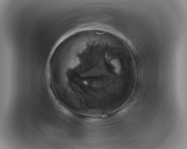 X0000114211522200910161237