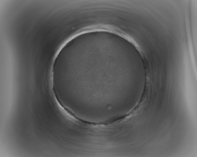 X0000114211524200910161237