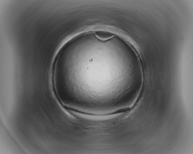 X0000114211525200910161237