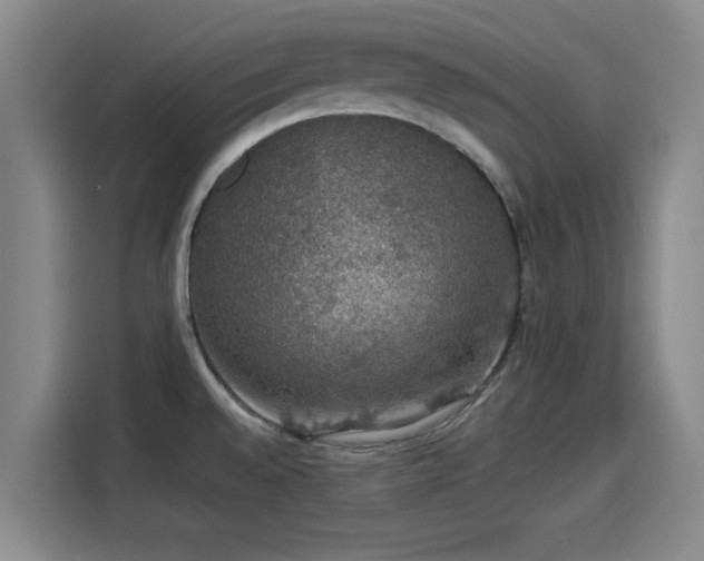 X0000114211528200910161237