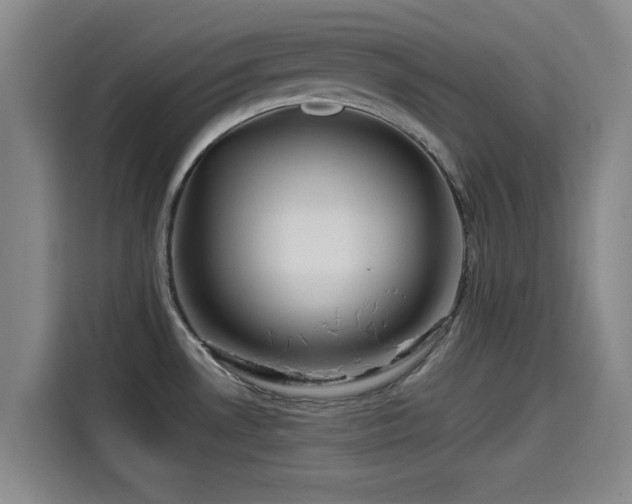 X0000114211530200910161237