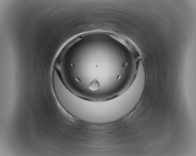 X0000114211532200910161237