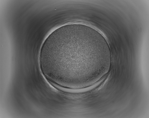 X0000114211533200910161237