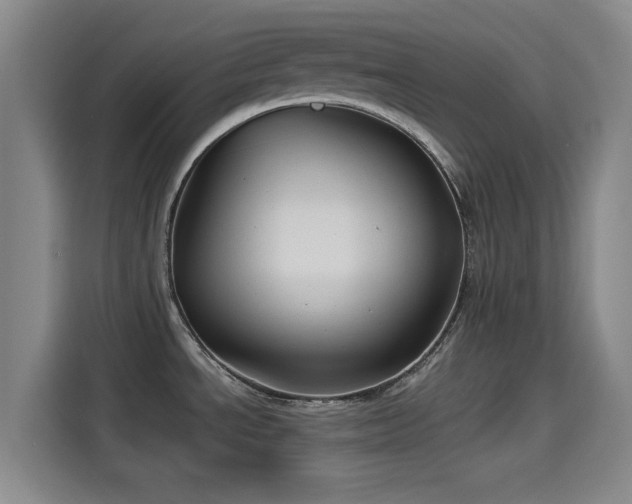 X0000114211534200910161237