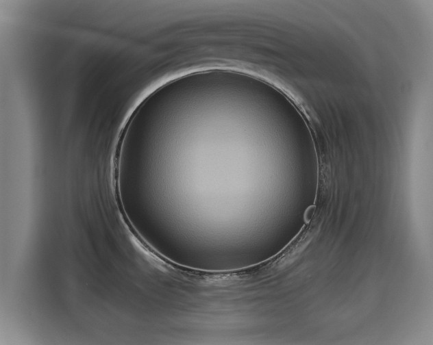 X0000114211535200910161237