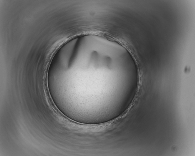 X0000114210001200910231417