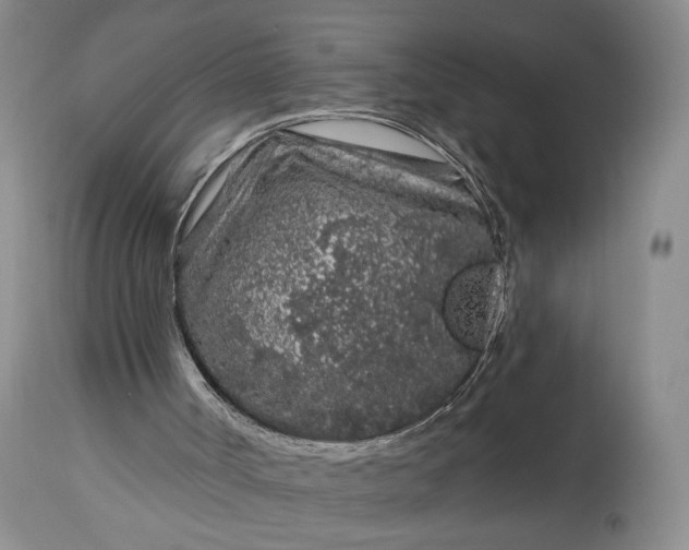 X0000114210002200910231417