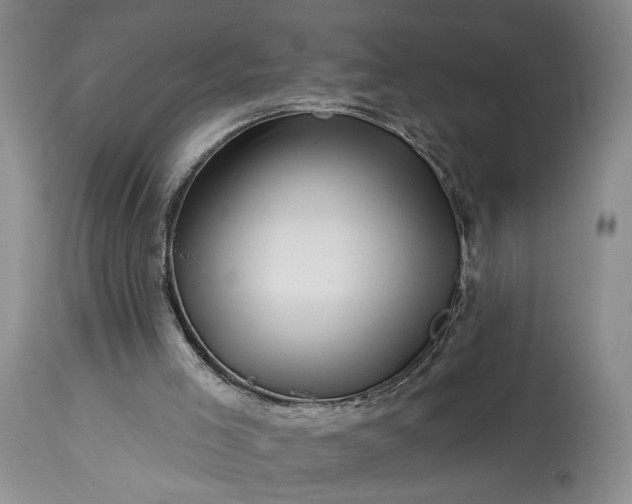 X0000114210005200910231417