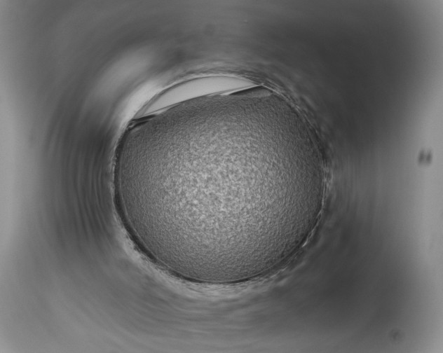 X0000114210006200910231417