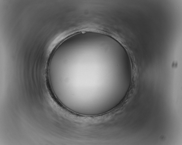 X0000114210007200910231417