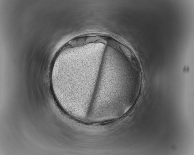 X0000114210008200910231417