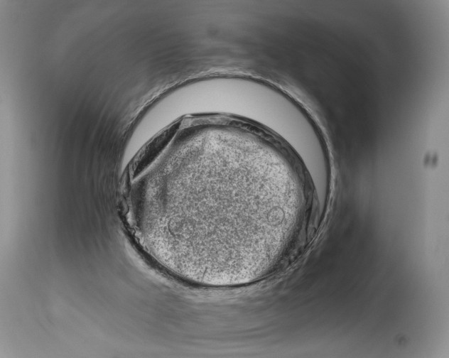 X0000114210009200910231417