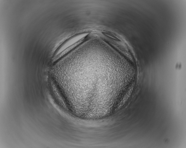 X0000114210010200910231417