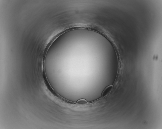 X0000114210011200910231417