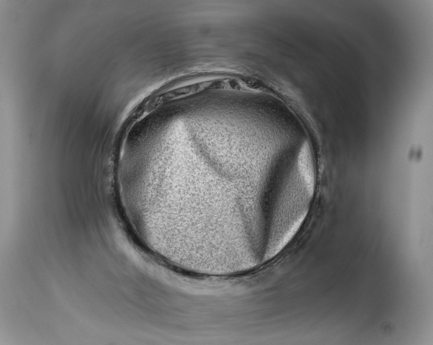 X0000114210012200910231417