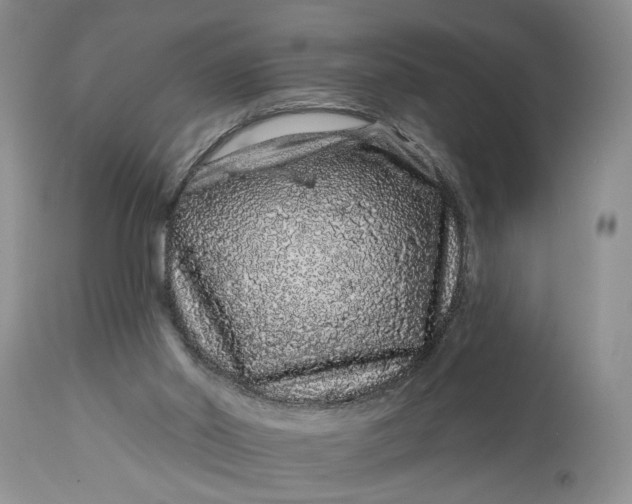 X0000114210014200910231417