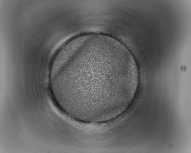 X0000114210016200910231417