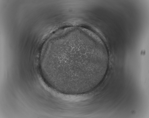 X0000114210018200910231416