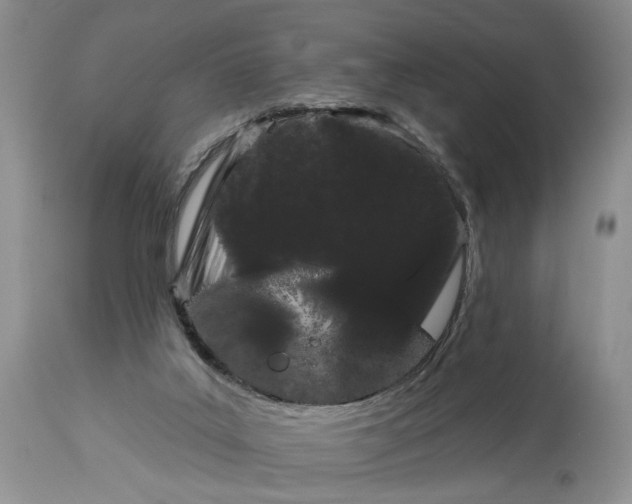 X0000114210019200910231416