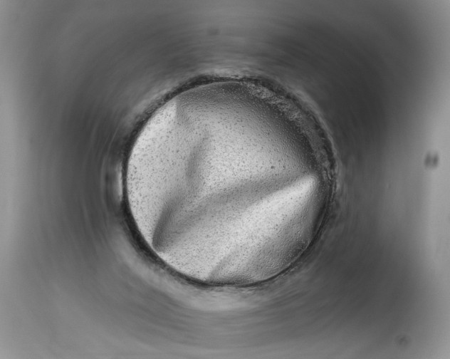 X0000114210020200910231416