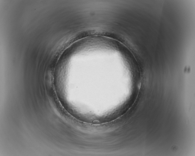 X0000114210022200910231416