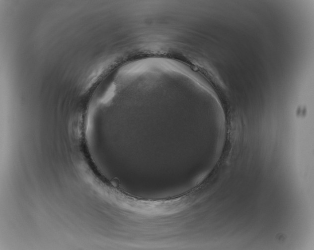 X0000114210023200910231416