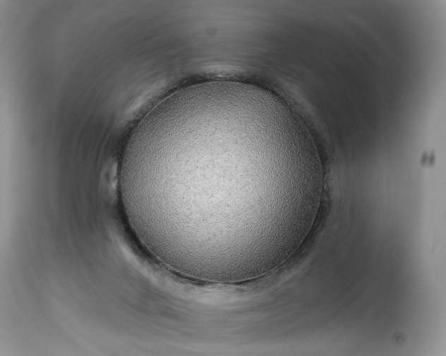 X0000114210024200910231416