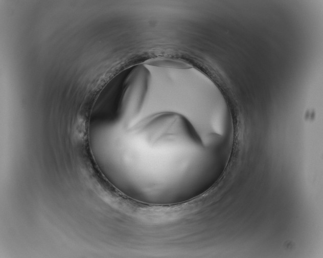 X0000114210025200910231416