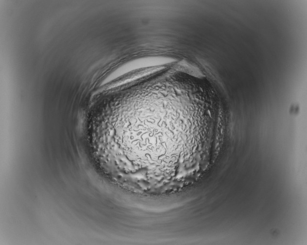 X0000114210026200910231416