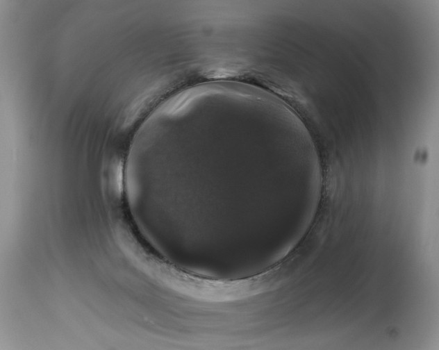 X0000114210027200910231416