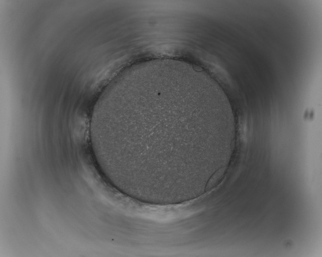 X0000114210029200910231416