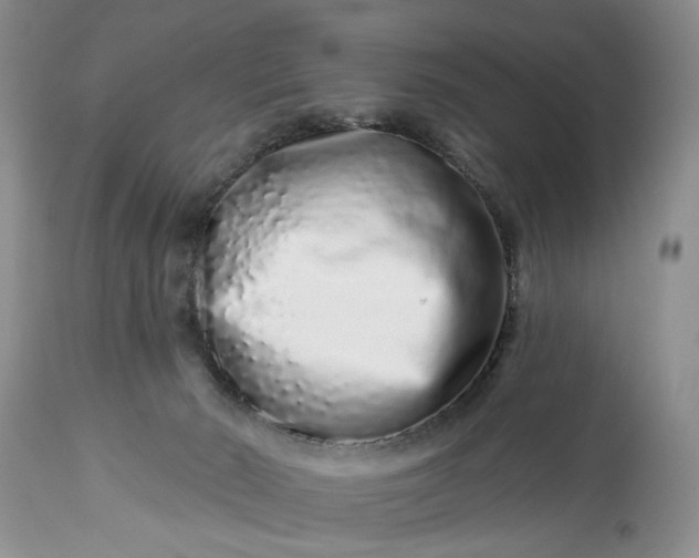 X0000114210030200910231416