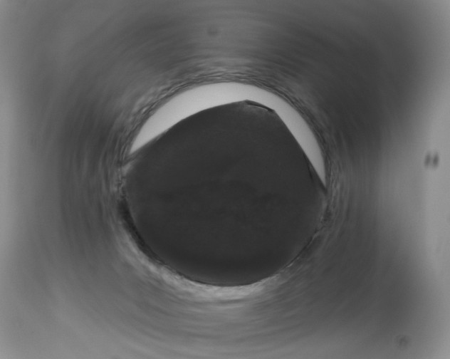 X0000114210031200910231416