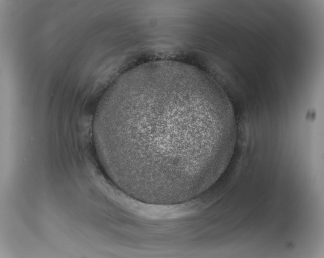 X0000114210034200910231416