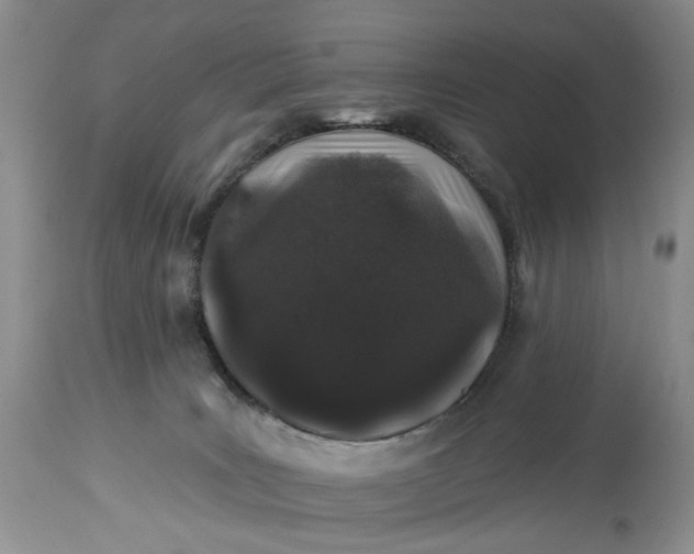 X0000114210035200910231416