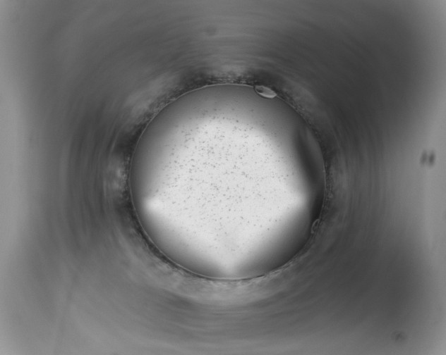 X0000114210037200910231416