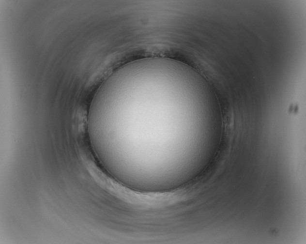 X0000114210038200910231416