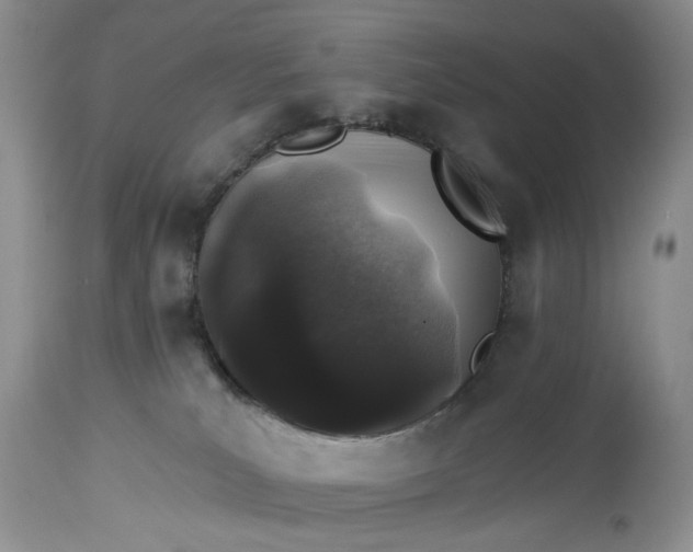 X0000114210039200910231416