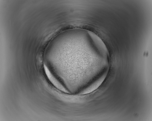 X0000114210040200910231416