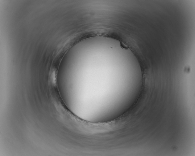 X0000114210042200910231416