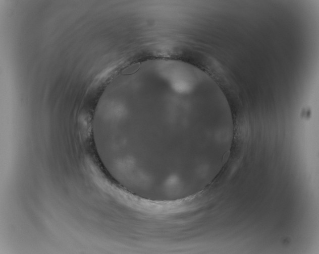 X0000114210043200910231416