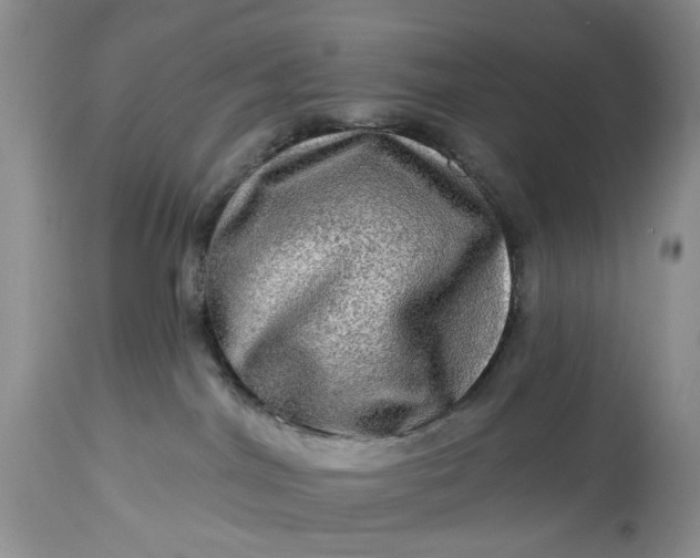 X0000114210044200910231416