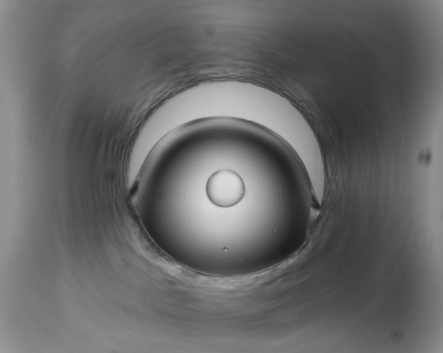 X0000114210045200910231416