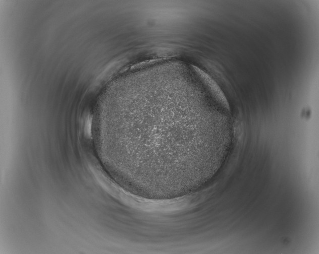 X0000114210046200910231416