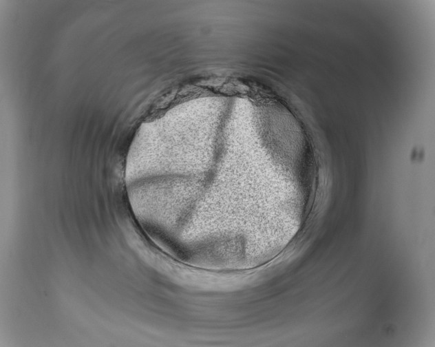 X0000114210048200910231416