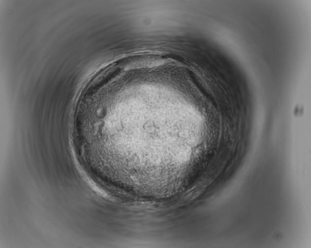 X0000114210049200910231415