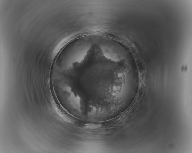 X0000114210051200910231415