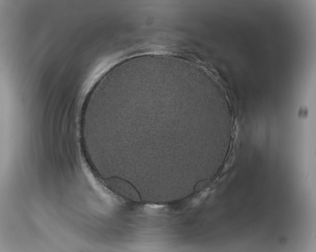 X0000114210055200910231415