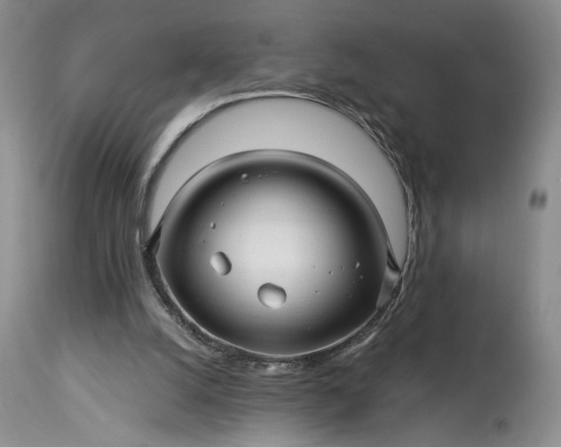 X0000114210056200910231415